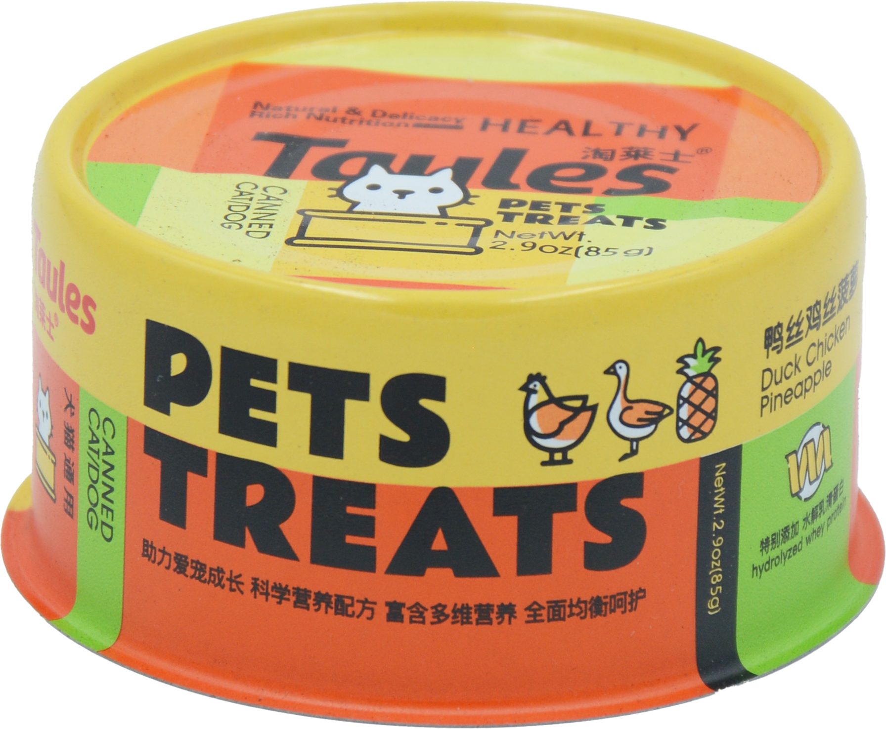 Duck Chicken Pineapple-01.png